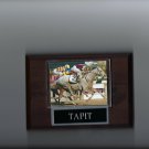 TAPIT PLAQUE HORSE RACING TURF