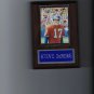 STEVE DeBERG PLAQUE DENVER BRONCOS FOOTBALL NFL