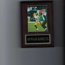 ANTWAAN RANDLE EL PLAQUE PITTSBURGH STEELERS FOOTBALL NFL