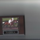 NASHUA PLAQUE HORSERACING HORSE RACING TURF