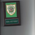 OSCEOLA DEPUTY SHERIFF PLAQUE FLORIDA LAW ENFORCEMENT OFFICER PHOTO PLAQUE