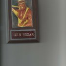 HULK HOGAN PLAQUE WRESTLING NWA WWF WCW WWE