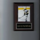 DAVID PASTRNAK PLAQUE BOSTON BRUINS HOCKEY NHL