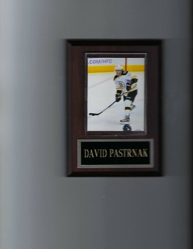 DAVID PASTRNAK PLAQUE BOSTON BRUINS HOCKEY NHL