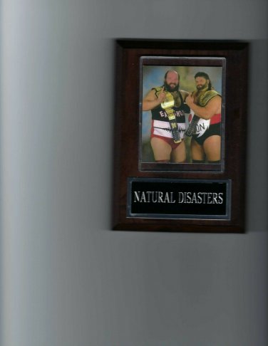 NATURAL DISASTERS PLAQUE WRESTLING TYPHOON EARTHQUAKE WWF