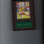 DONALD DRIVER PLAQUE GREEN BAY PACKERS FOOTBALL NFL