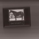 SOMETHINGROYAL PLAQUE HORSERACING HORSE RACING TURF