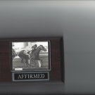 AFFIRMED PLAQUE HORSERACING HORSE RACING TURF TRIPLE CROWN WINNER