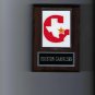 HOUSTON GAMBLERS PLAQUE FOOTBALL USFL