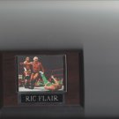 RIC FLAIR PLAQUE WRESTLING WCW WWE
