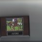 AZERI PLAQUE HORSERACING HORSE RACING TURF