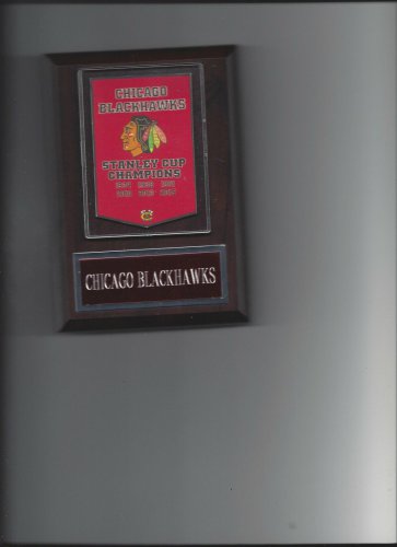 CHICAGO BLACKHAWKS STANLEY CUP BANNER PLAQUE CHAMPS CHAMPIONS HOCKEY NHL