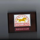 BIRMINGHAM STALLIONS PLAQUE FOOTBALL USFL
