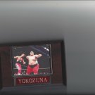 YOKOZUMA PLAQUE WRESTLING WWF