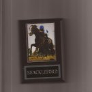 SHACKLEFORD PLAQUE HORSERACING HORSE RACING TURF