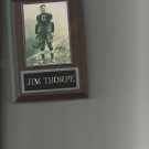 JIM THORPE PLAQUE CANTON BULLDOGS FOOTBALL NFL