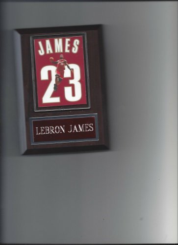 LEBRON JAMES JERSEY PLAQUE BASKETBALL CLEVELAND CAVALIERS NBA