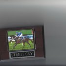 STREET CRY PLAQUE HORSERACING HORSE RACING TURF