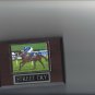 STREET CRY PLAQUE HORSERACING HORSE RACING TURF