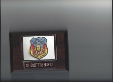 NJ FOREST FIRE SERVICE PLAQUE NEW JERSEY WILDLAND NATIONAL FORESTS PHOTO PLAQUE