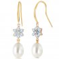 9.01 CTW 14K Solid Gold Fish Hook Earrings Diamond, Aquamarine pearl Womens