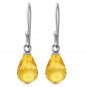 2.7 CTW 14K Solid White Gold Learn To Love Citrine Earrings Cute Fashion Jewelry
