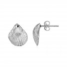 Textured Seashell Earrings in Sterling Silver