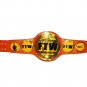 FTW World Heavy Weight Championship Wrestling Belt Adult Size