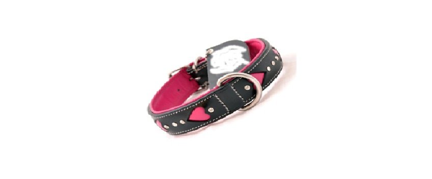 Logical Leather Heavy Duty D Ring Adjustable Medium And Large Puppy And Pet Dog Collars
