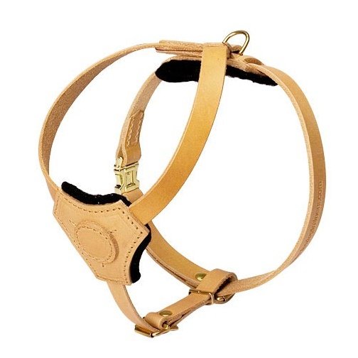 Real Leather Brown Dog Harness Adjustable Strap for  Walking  No Pull Pet Dog Harness