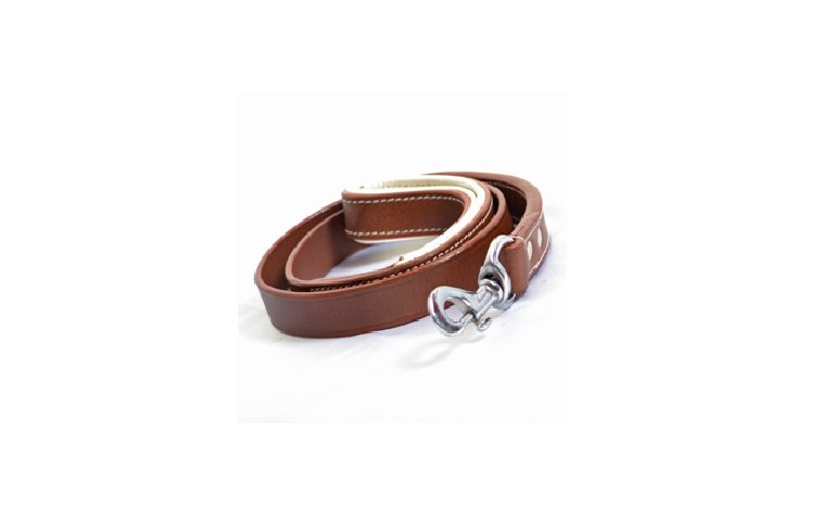 Brown Logical Leather Heavy Duty Braided Training, Walking of Medium, large Puppy, Dog Lease