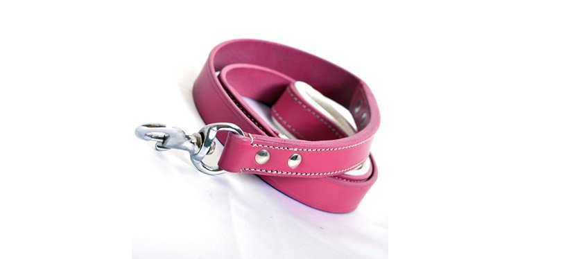 Logical Leather Heavy Duty Braided Training And Walking of Medium And large  Dog Lease