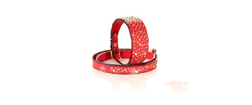 Genuine Leather Heavy Duty Red D Ring Adjustable Medium And Large Puppy And Pet Dog Collars