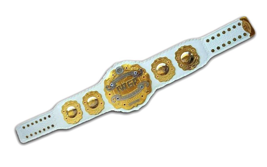 IWGP Intercontinental wrestling championship belt adult size