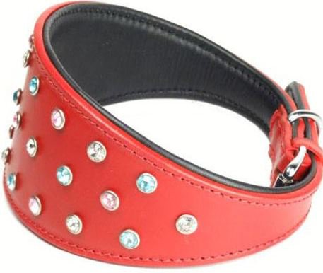Genuine Leather Padded Heavy Duty D Ring Adjustable Medium And Large Puppy And Pet Dog Collars
