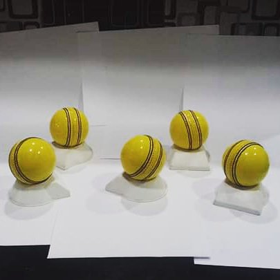 Indoor Hand Stitched Leather Cricket Balls Match Training 156gm Ball Pack Of 5