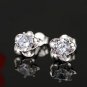 Ear jewelry plum temperament earrings female plum earrings white gold