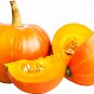 Pumpkin Spice Bath Bomb