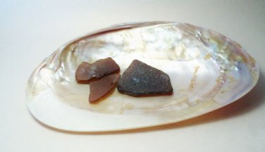 Root Beer Brown Sea Glass from the shores of Long Beach California 3 pcs REFNOLB2