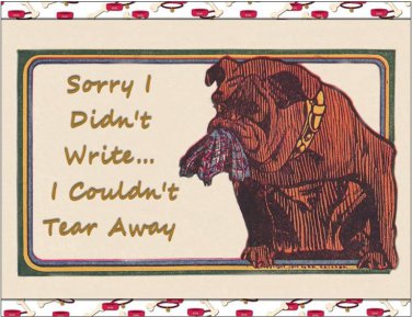 Handmade Note Cards Set of 5, Bulldog with Torn Pants in his Mouth "Sorry I didn't Write..."