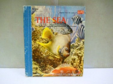 Golden Library Of Knowledge from Life - The Sea - Children's Book
