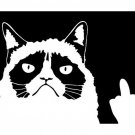 Grumpy Cat Meme Flippin' You Off Funny Decal | 6 X 4 In | WHITE