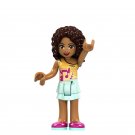 Andrea Friends Club Party Lego Minifigure Toy