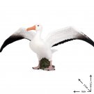 Seagull Birds Cute Lovely Bird Animals Lego Minifigure Toy