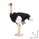 Ostrich 002 Birds Cute Lovely Bird Animals Lego Minifigure Toy