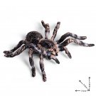 Spider Animals Home Garden Decoration Lego Minifigure Toy