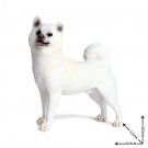 Samoyed Pet Dogs Animal Lego Minifigure Toy