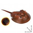 Stingray Original Sea Life Ocean Animals Lego Minifigure Toy