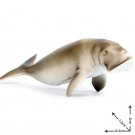 Dugong Original Sea Life Ocean Animals Lego Minifigure Toy