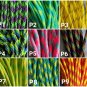 Cat Collar-- 550 Paracord